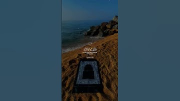 ﴿إِنَّ الَّذِينَ قَالُوا رَبُّنَا اللَّهُ ثُمَّ اسْتَقَامُوا﴾ | تلاوة تلامس القلب #إسلام_صبحي #قرآن