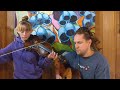 Day 276 of 365 Days of Fiddle Mrs. Bromley's Waltz