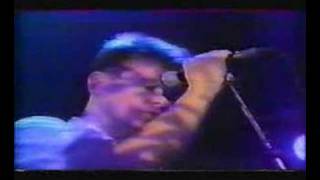 Atmosphere Live Leuven 1985