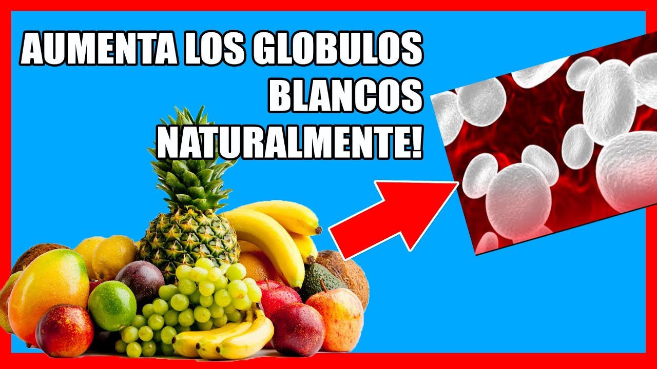 Como Subir Los Globulos Blancos Rapidamente Y De Forma Natural Youtube