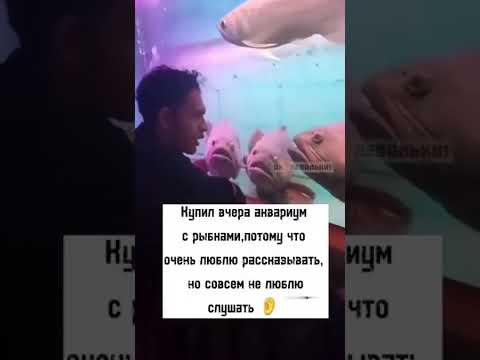 #шуточное #юмор