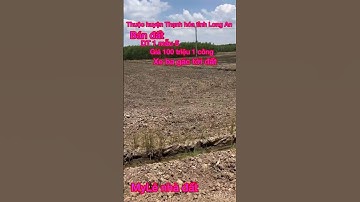 Cần bán nhanh DT 1 mẫu 5 thuộc huyện Thạnh hóa tỉnh Long An