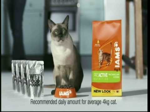 IAMS Cat Food 'I Am More Than Just A 