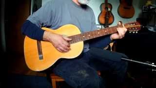 Blues - Suzuki No.305 Acoustic