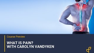 Acute vs. Persistent Pain & How to Treat Patients Living with Pain with Carolyn Vandyken