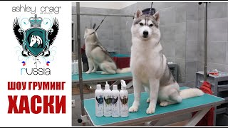 ШОУ-ГРУМИНГ ХАСКИ / Show Grooming of husky with #AshleyCraig