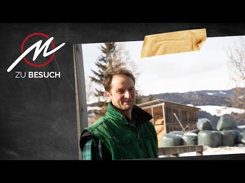 Johann Streicher Teil 5  | Gulasch | Fleischwerkstatt zu Besuch bei BIO Styria Beef
