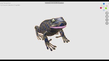 Frog 3d Model  Preview
