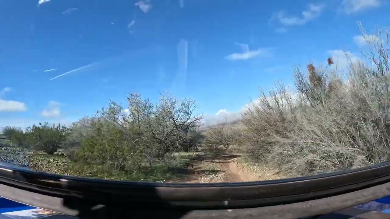 1/2/26 Three Rivers Alamo Lake
