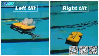 ThorRobotics 110ROV 5 versions for you to choose