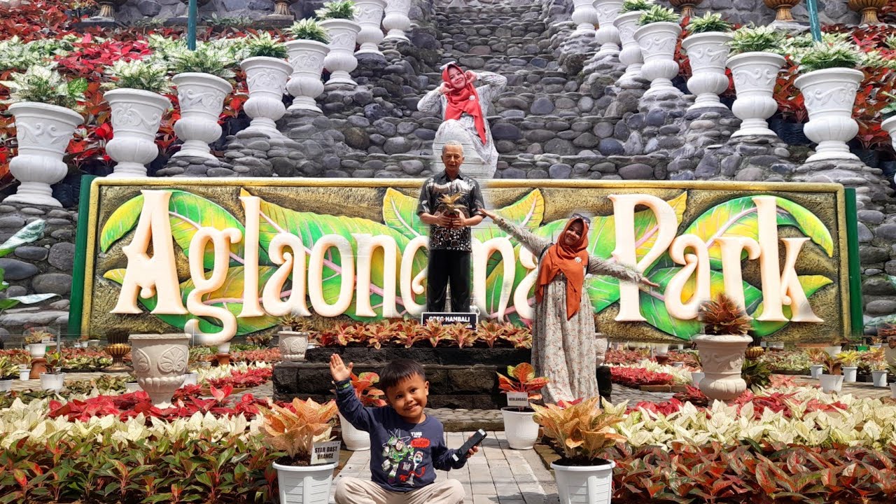 AKHIRNYA GREBEK AGLAONEMA PARK JOGJA.. ADA 60 RIBU PLANT DI WISATA INI