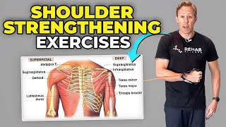 5 Exercises to Build Shoulder Strength