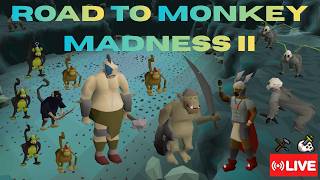 ROAD TO MONKEY MADNESS II Day 2