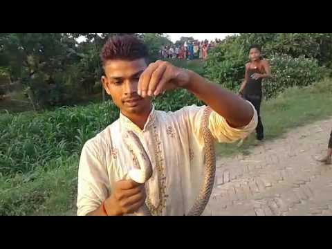 Yaha Chadhate H Bhole Baba Ko Sarpo Ki Mala