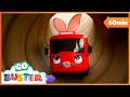 Baby buster bunny goes on an adventure  gogeckosgarage