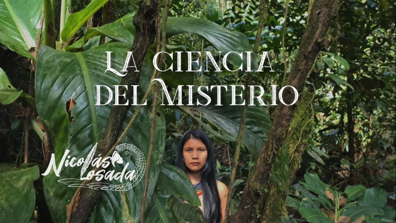 Nicolas Losada - La Ciencia del Misterio (Videoclip Oficial) Música Medicina