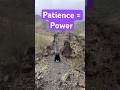 Patience: The Secret Ingredient to Massive Growth #yogaflow