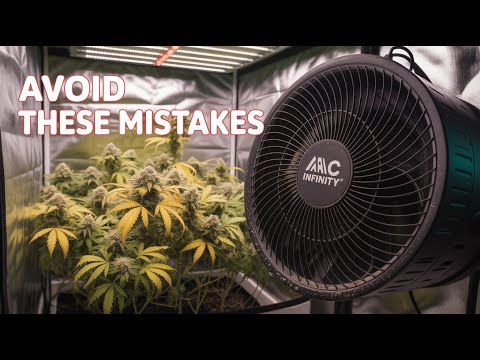 The AC Infinity Mistake That's Destroying Your VPD Right Now