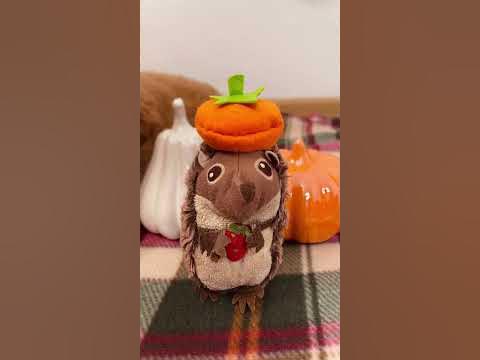Мастер-класс шьем берет - YouTube