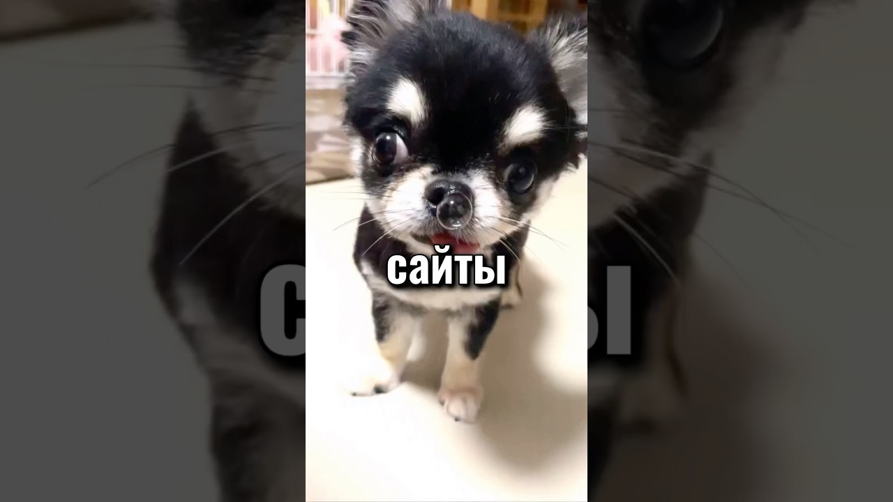 сайты которые ты должен знать (часть 34) 