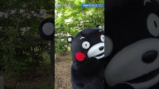 くまモン、仏大使公邸で養蜂視察 #kumamon