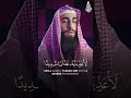 القارئ محمد ديبيروف سورة النمل
