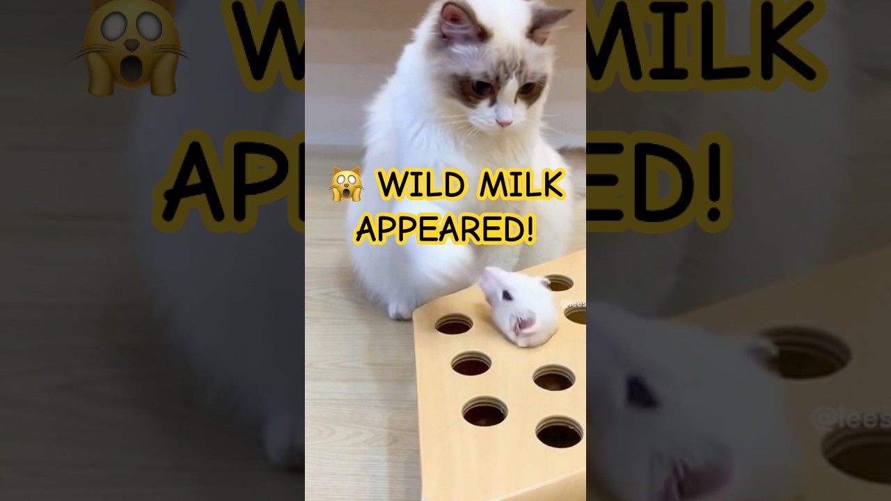 Whack-a-Mole? No, it's Whack-a-MILK! 🦁