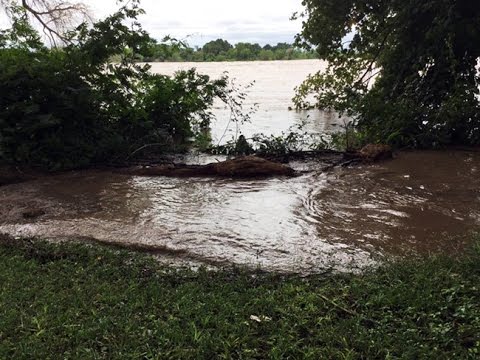 Limpopo River in flood