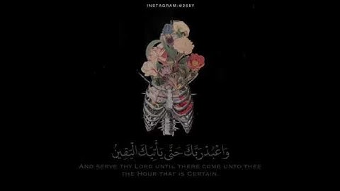 قران كريم بصوت هزاع البلوشي ،اجمل حالات واتس اب 💞 ولقد نعلم انك يضيق صدرك بما يقولون