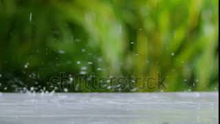 Coconut broken in slow motion