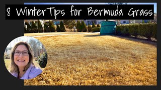 8 Winter Lawn Care Tips for Bermuda and Zoysia Grass: Scalping, Fertilizer, Weeds