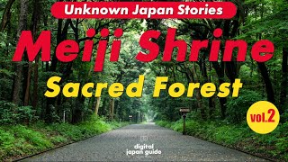 Meiji Shrine Secrets: Giant Wooden Torii, Sake Barrels & Sacred CoupleTrees