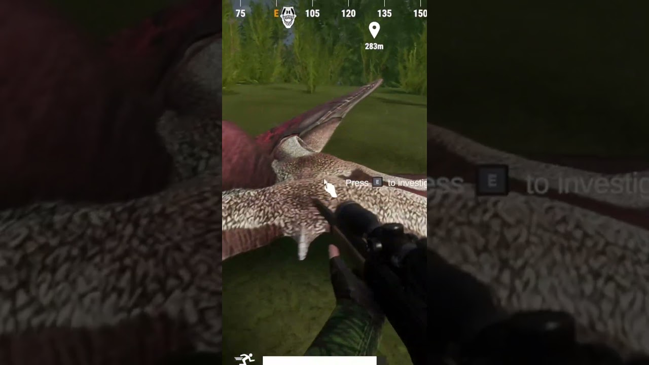 Hunting Down An Angry Prehistoric Bird