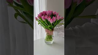 Aesthetic Vibes Relaxing Videos Aesthetic Edits Visual Aesthetics Minimalist Videos