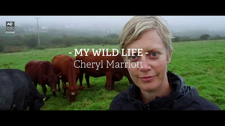 My Wild Life - Cheryl Marriott, conservationist