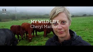My Wild Life - Cheryl Marriott, conservationist