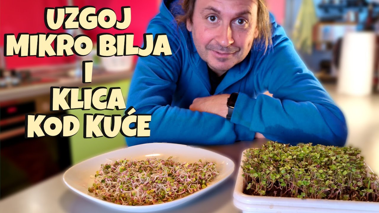 Uzgoj mikro bilja i klica kod kuće