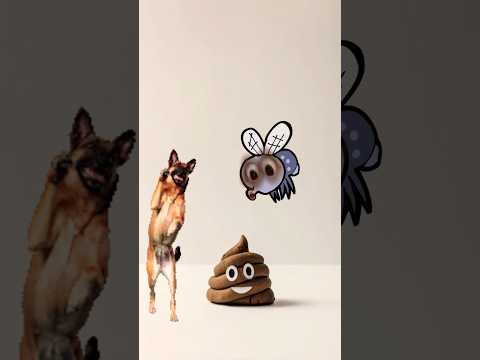 مره جبت كلب سميته شيكو دودو كلب بيرقص 