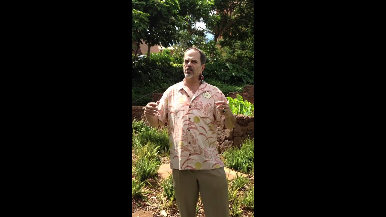 Joe Rohde at Aulani Disney Resort & Spa