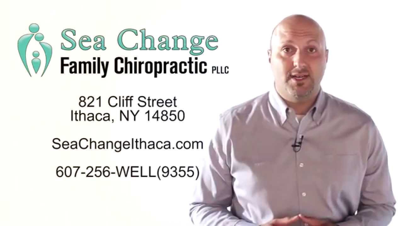 Sea Change Family Chiropractic Chiropractor In Ithaca Ny