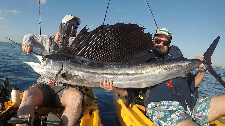 Offshore Kayak Fishing | Targeting Sailfish