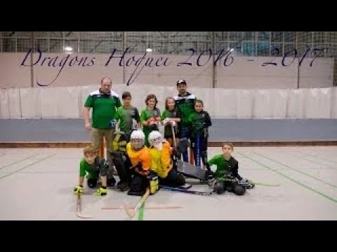 2017-01-14 La Garriga - Dragons BiR
