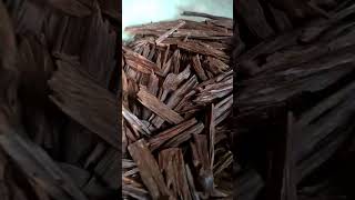 🔥 Experience the Luxury of Authentic Zurra Oud Chips 🔥