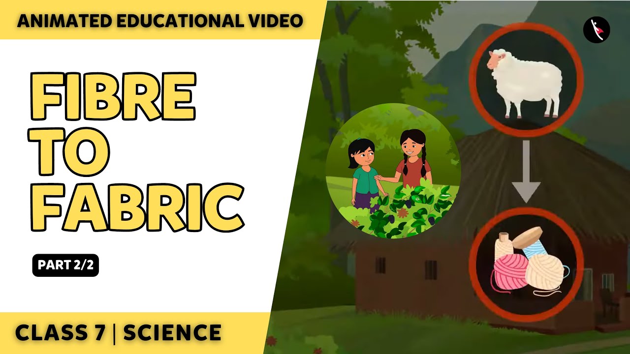 Fibre To Fabric | NCERT Class 7 Science Chapter 3 | Part 2/2 | English ...