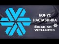 Бонус наставника в Siberian Wellness или "Что я получу за активированного партнера?". Быстрый доход.