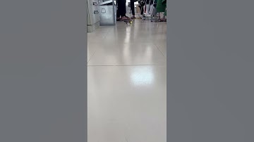 Sản phẩm điều khiển tốc độ xe 3 bánh bằng Arduino qua Wifi/Bluetooth của SV FPT Polytechnic Đà Nẵng