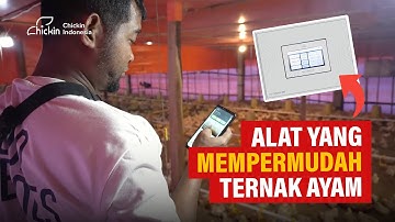 Kelola kandang Ayam Broiler Lebih Mudah Dengan Alat IoT Chickin