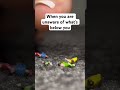 Unaware stepping #foot #pedicure #barefoot #giantess