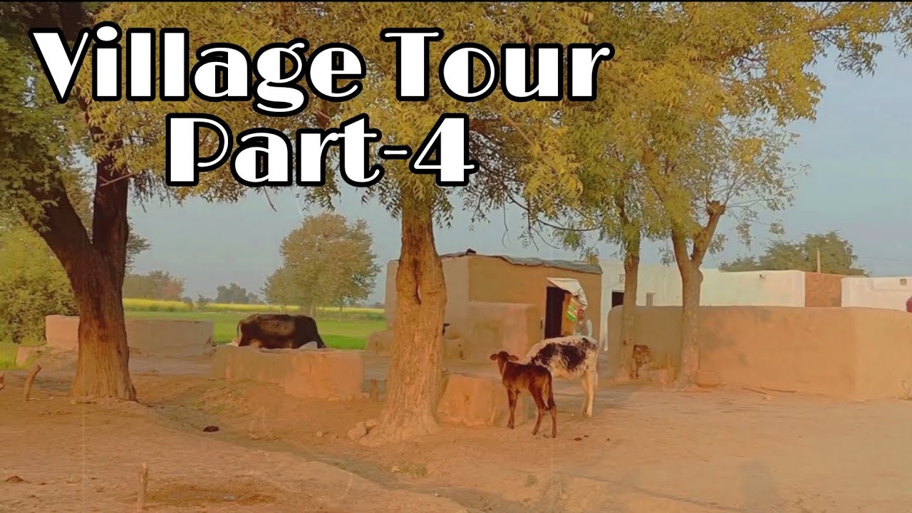 Mitti k ghar in Rajasthan|Beautiful mud houses in village|Village Life of Rajasthan|Mud houses|