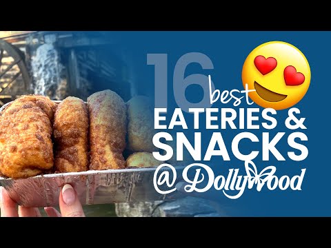 Best Dollywood Food Menus With Prices
